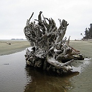 Picture 275